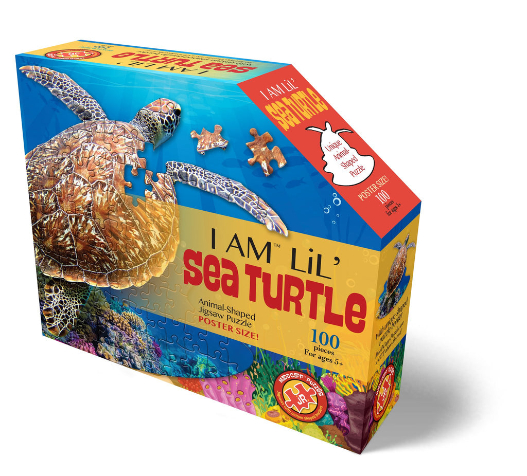 I Am Lil’ Sea Turtle