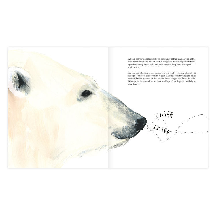 The Polar Bear