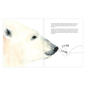 The Polar Bear