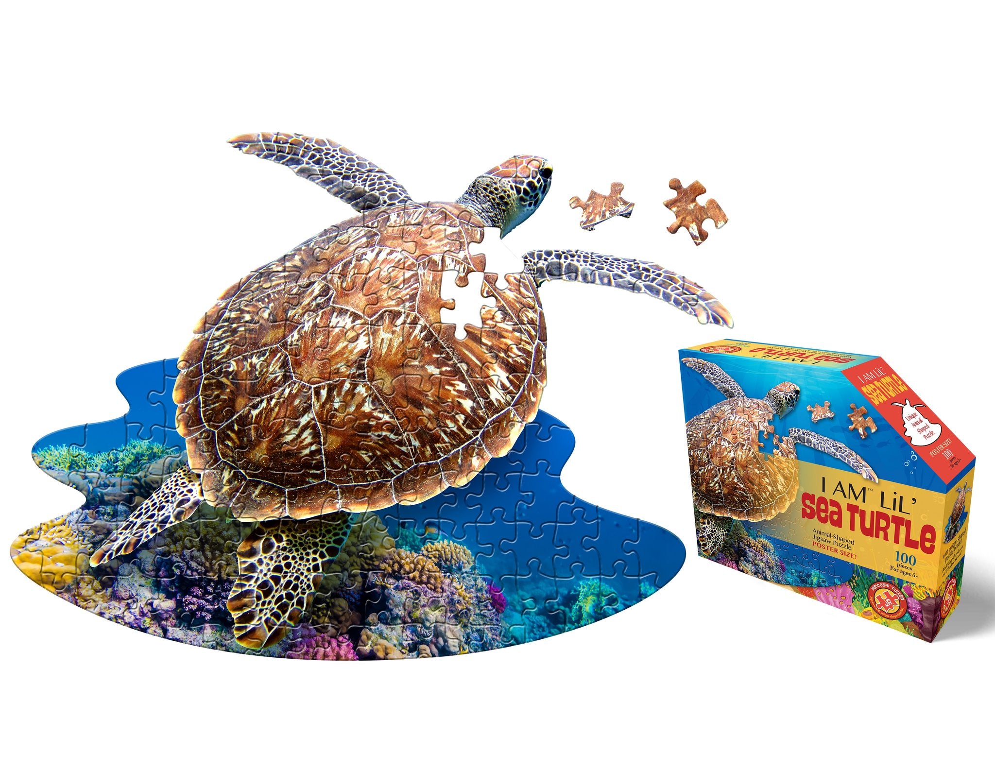 I Am Lil’ Sea Turtle