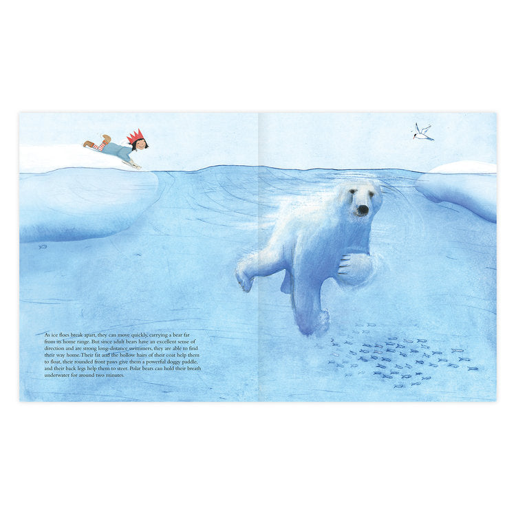 The Polar Bear