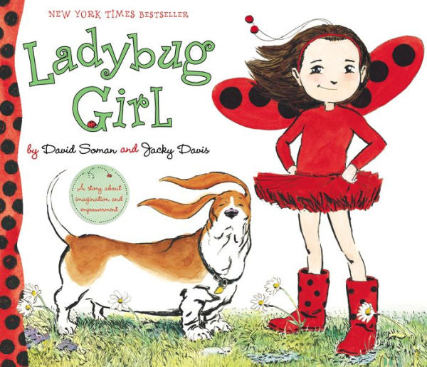 Ladybug Girl Book